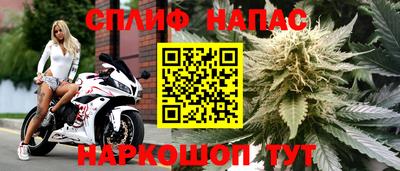 тгк Кандалакша
