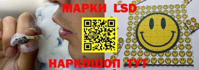 МДПВ Канаш